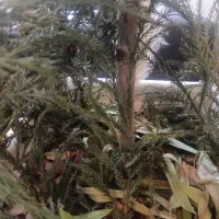 اجاره اتاق 35متری از یک واحد اداری