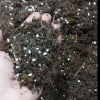 خاک مخصوص گیاهان آپارتمانی و سینی نشا و سبزی جات