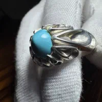 فیروزه پاک نیشابوری