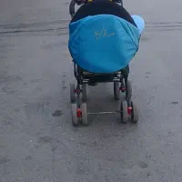 کالسکه سالم و تمیز برای کربلا
