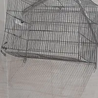قفس