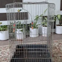 قفس ولانه پرنده|لوازم جانبی حیوانات|گرگان, |دیوار