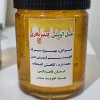 عسل|خوردنی و آشامیدنی|مشهد, فتح المبین|دیوار