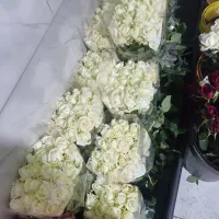 جشنواره گل رز خرم‌آباد فقط تا پایان فروردین ماه