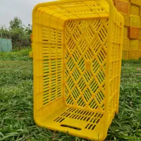 سبد پلاستیکی ۲۰ کیلویی، از مواد درجه ۱ پتروشیمی