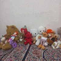 تعدادی عروسک