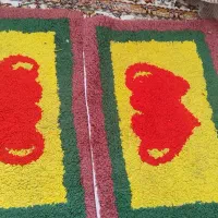 یک جفت پادری سالم فقط۸۰تومن