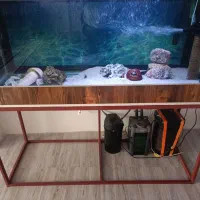 آکواریوم با لوازم کامل معاوضه|ماهی|اردبیل, |دیوار
