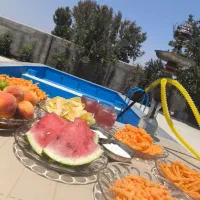 اجاره روزانه و کوتاه مدت باغ در زردنجان