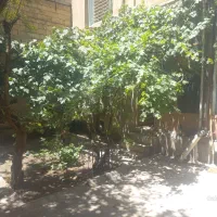 ویلایی ۱۳۷ متر زمین دو طبقه ۶۵ متری خیابان پدیدار|فروش خانه و ویلا|کرج, اصفهانی‌ها|دیوار
