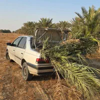 دمیت پاجوش مرکز تحقیقات سازمان جهاد کشاورزی|خدمات باغبانی و درختکاری|آبپخش, |دیوار