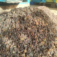 کشمش سرکه ای|عمده‌فروشی|قرچک, زیبا شهر|دیوار