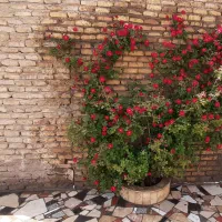 منزل رهن واجاره زیرکن