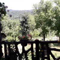 اجاره ویلاجنگلی با ویویی عالی وجذاب|اجارهٔ کوتاه‌مدت ویلا و باغ|ماکلوان, |دیوار