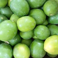 جهت کار درمیوه فروشی