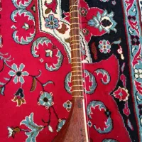 سه تار|سازهای سنتی|سبزوار, باهنر|دیوار