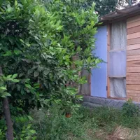 کلبه چوبی|مصالح و تجهیزات ساختمان|لنگرود, |دیوار