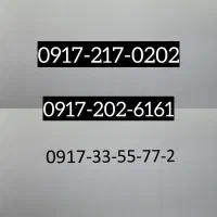خط رند بدون مشابه در کل ایران ( خط روند )