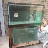 آکواریوم
