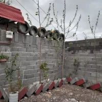 سوییت اپارتمان ۵۰۰متری|اجارهٔ کوتاه‌مدت آپارتمان و سوئیت|رشت, گیل|دیوار