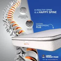 تشک مخصوص دیسک کمر