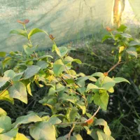 اگه اطلاعات داری بزرگی کن وراهنماییم کن