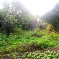 باغ و خانه کلنگی|فروش زمین و ملک کلنگی|نوشهر, |دیوار