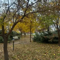 زبان انگلیسی