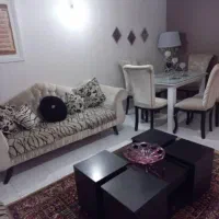 خانه نقلی و زیبا و خوش نقش ۶۰ متری