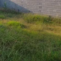 زمین-200-متری