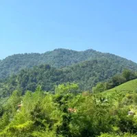 710متر زمین مسکونی کوهپایه ای جنگلی پروانه ساخت