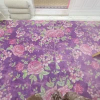 فرش شش متری2500|فرش|قم, ناصردیوان|دیوار