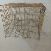 پرنده