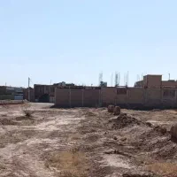 زمین ده قصبی بلوار طوطی