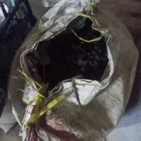 فروش زغال مخصوص کرسی|بخاری، هیتر، شومینه|همدان, |دیوار