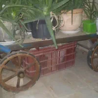 گاری چهار چرخ