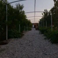 جوشکار سیار|خدمات پیشه و مهارت|شاهین‌شهر, حافظ شمالی|دیوار