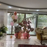 تم تولد بچه گانه