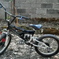 دوچرخه حرفه ای