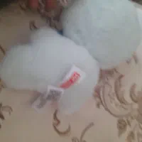 لبوبو پپسی|اسباب‌‌بازی|آمل, |دیوار