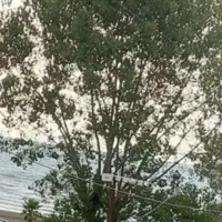 رهن اجاره آپارتمان ساحلی در محموداباد کلید نخورده