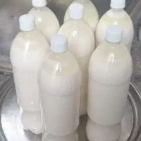 دوغ ماست
