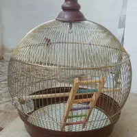 قفس پرنده|لوازم جانبی حیوانات|رشت, دروازه لاکان|دیوار