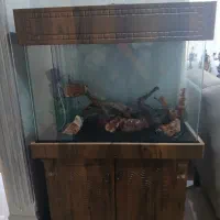 آکواریوم کابینت دار چوبی|ماهی|کرج, فاز ۳ گوهردشت|دیوار