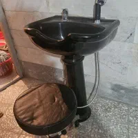 سرشور ایستاده