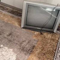 تلویزیون بزرگ|تلویزیون و پروژکتور|بندر دیر, |دیوار