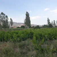 زمین فروشی ابتدای  روستای طنجران.توافقی|فروش زمین و ملک کلنگی|خمین, |دیوار