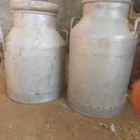 دبه (بیدون)شیر|ظروف نگهدارنده، پلاستیکی، یکبارمصرف|آران و بیدگل, |دیوار