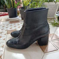 کفش زنانه|کیف، کفش، کمربند|رشت, نیروی دریایی|دیوار