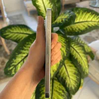 آیفون 16promax512گیگ|موبایل|تبریز, |دیوار